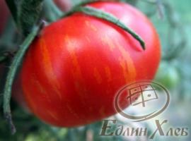 Семена томатов Полосатый смайлик, ART.008