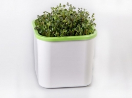 Проращиватель Здоровья КЛАД (для микрозелени)