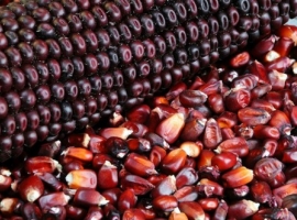 Молотая фиолетовая кукуруза, дойпак 1 кг (Перу)