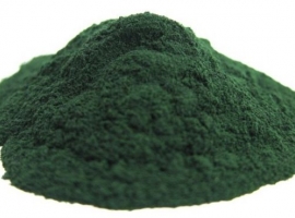 Хлорелла, порошок, органика, дойпак 100 г (Китай)