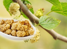 Сушеные ягоды тутовника (шелковицы) (Mulberry), дойпак 200 г (Таджикистан)