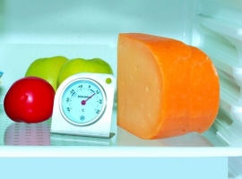 Термометр для холодильника Tescoma "Gradius" купить с доставкой