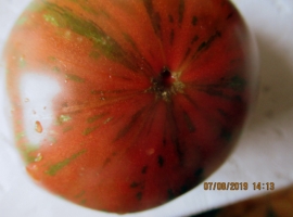 томат в стиле тай-дай РОЗОВЫЙ