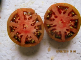 семена помидор в стиле тай-дай РОЗОВЫЙ