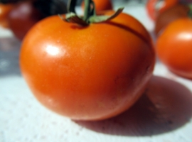 семена помидор Топаз, медовый топаз, перламутровый