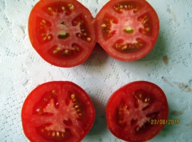 семена помидор полосатый смайлик