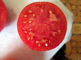 помидор Каскад Лавы в разрезе