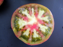 помидор Green Copia в разрезе