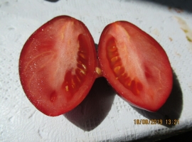 Семена томата "Гном Бой с тенью"