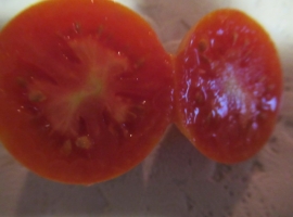 Семена томата "Томат Оранжевый Персик"