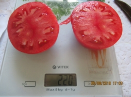 Семена томата "Робинзон (полосатый)"