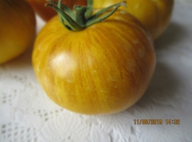 Семена томата "Основные цвета"