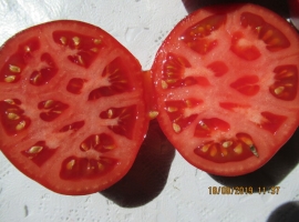 Семена томата "Красный уголь"