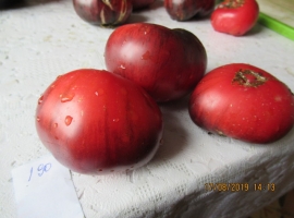 Семена томата Сочная Красотка (Прекрасный Пышный)