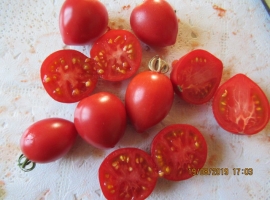 Семена томата Синий томат индиго Гаргамель/Голубой томат игра цвета индиго