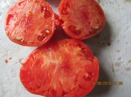 Семена томата Андижанские