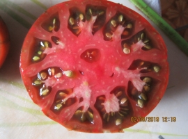 Семена томата Чёрный Крым