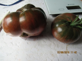 Семена томата Пурпурная страсть