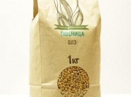 Зерно пшеницы для проращивания БИО, 1 кг